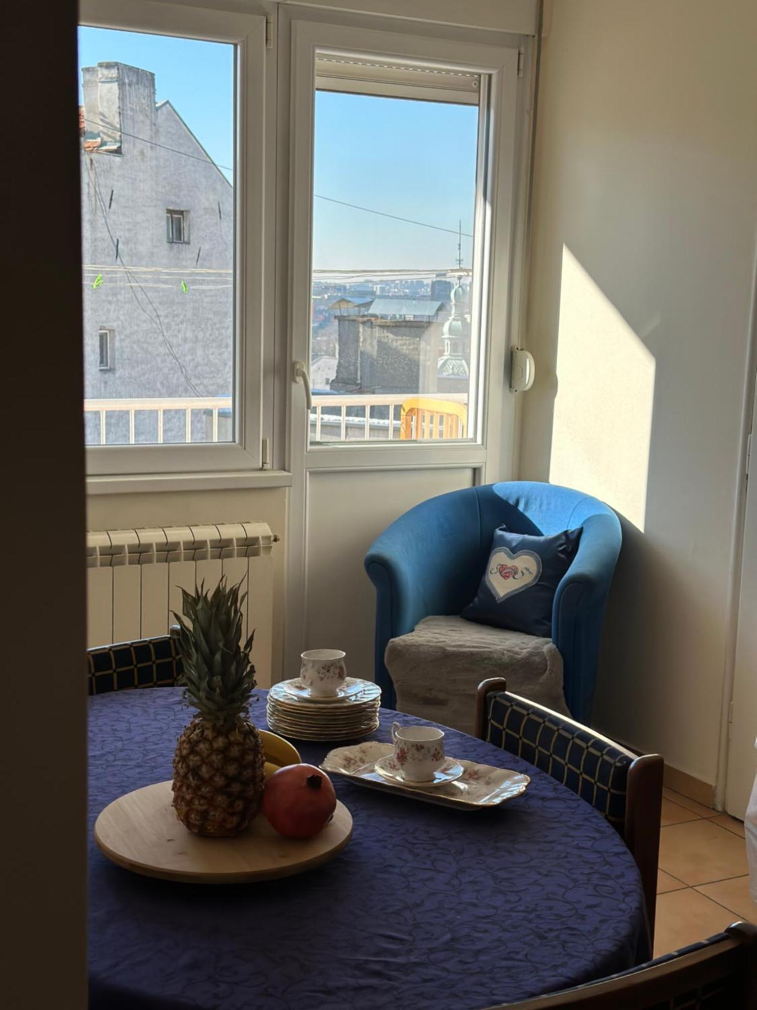 בלגרד Maja City Center Apartment מראה חיצוני תמונה